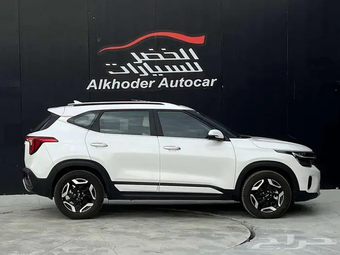 سيلتوس نص فل 2026 6