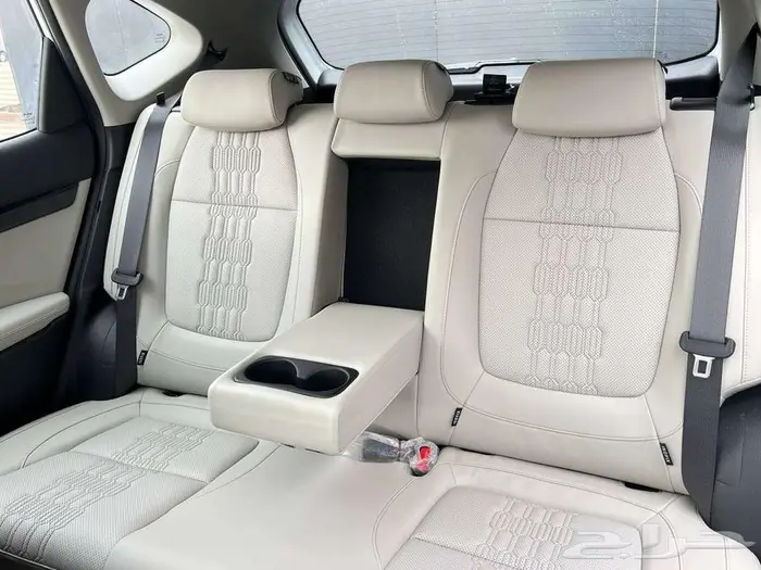 سيلتوس نص فل 2026 2