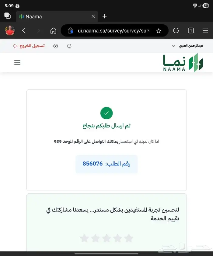 Premium Female Toy Poodle Puppy - Complete Package- بودل 1