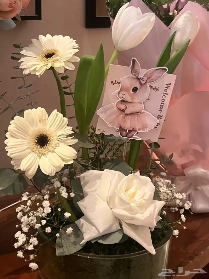 كروت مواجيب وتوزيعات واكثر 3