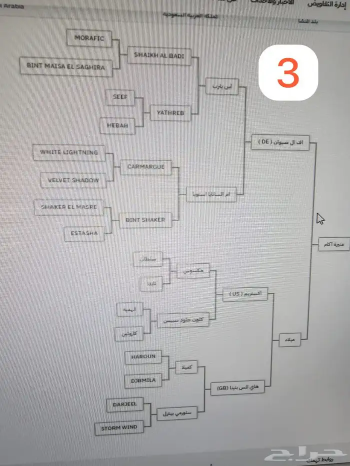 فرسين خط جمال واهو 2