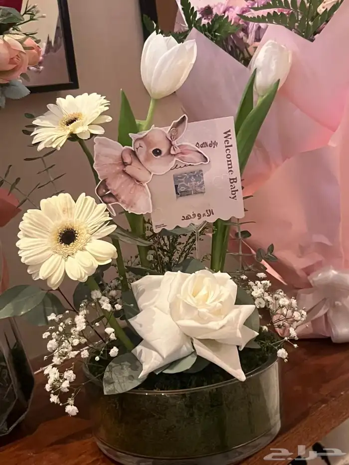 كروت مواجيب وتوزيعات واكثر 4