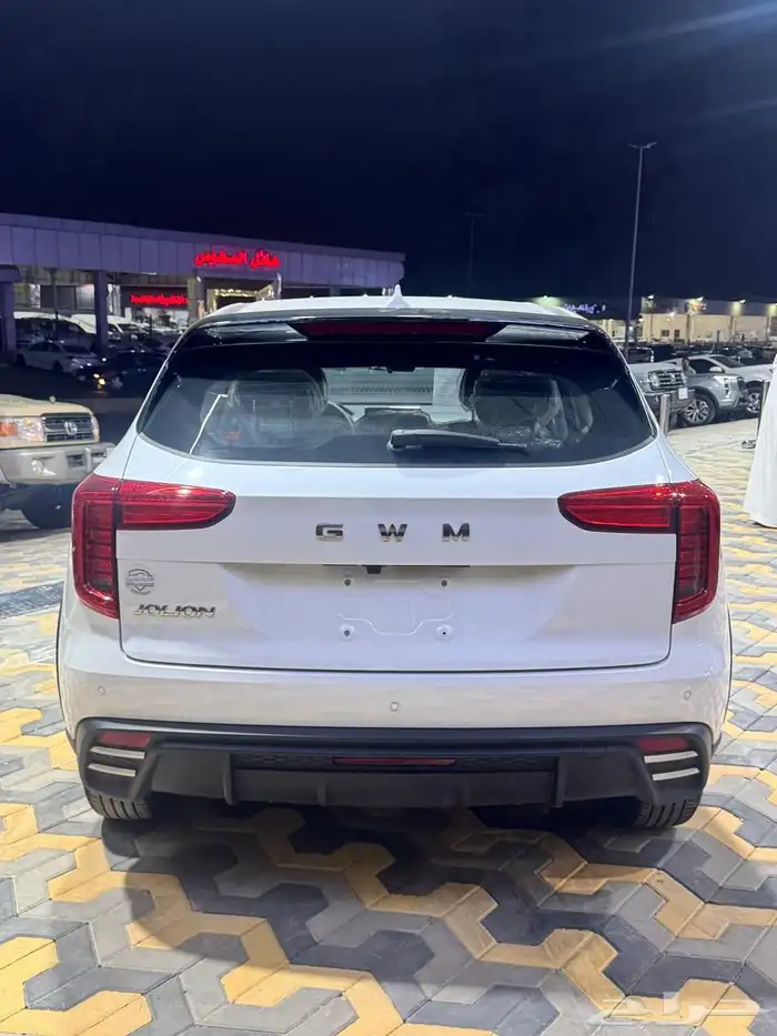 هافال جوليان استاندر 2026 4