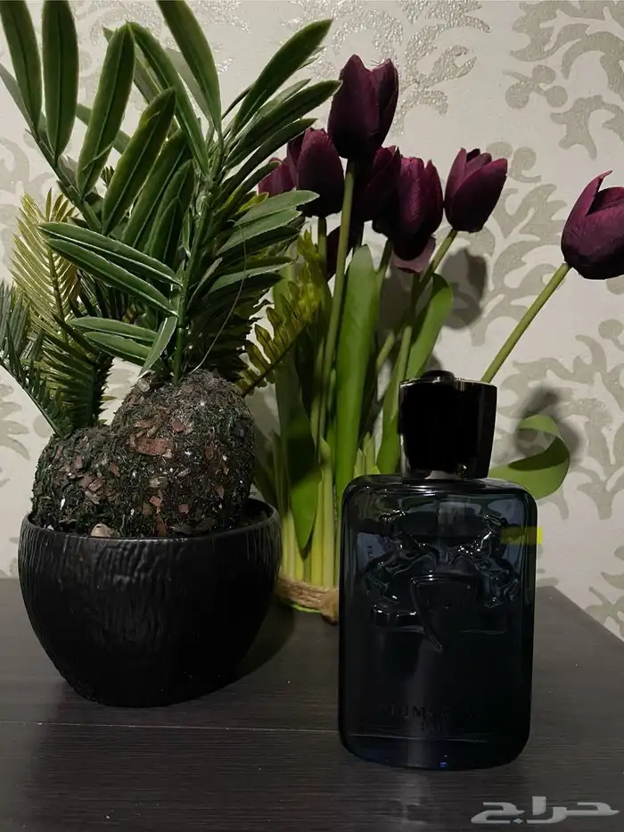 عطر مارلي سادلي 0