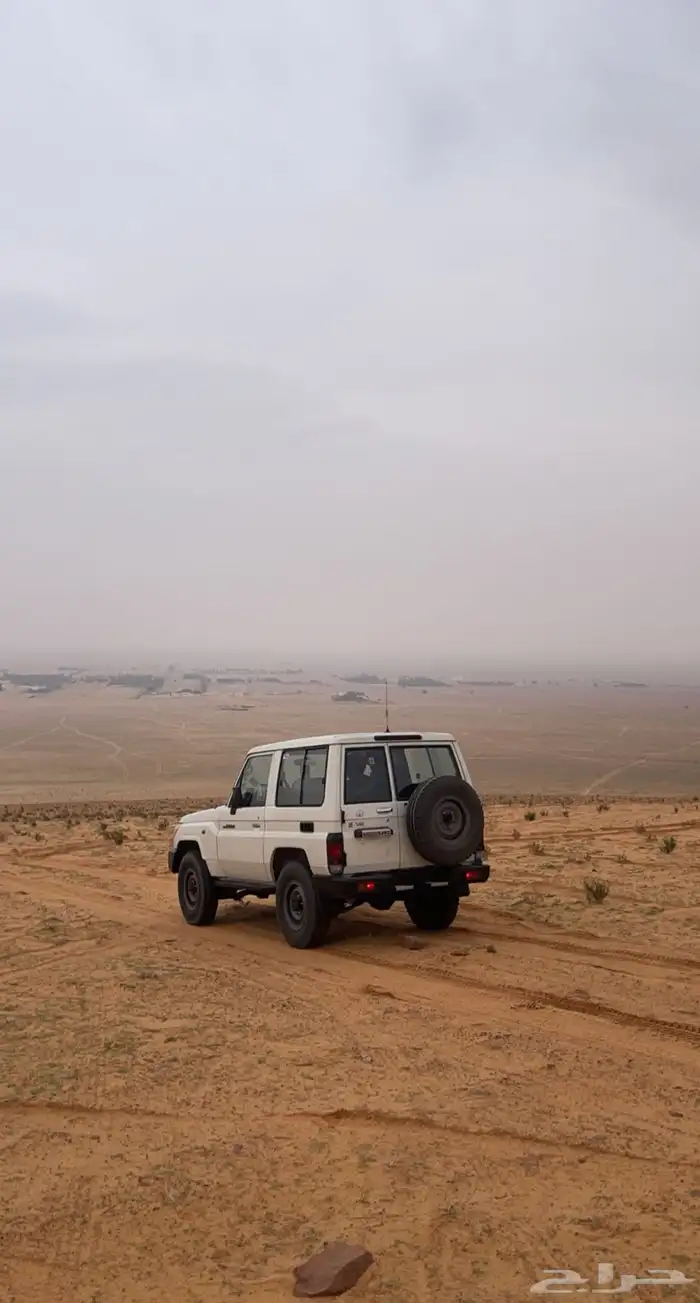 جيب ربع 2021 7