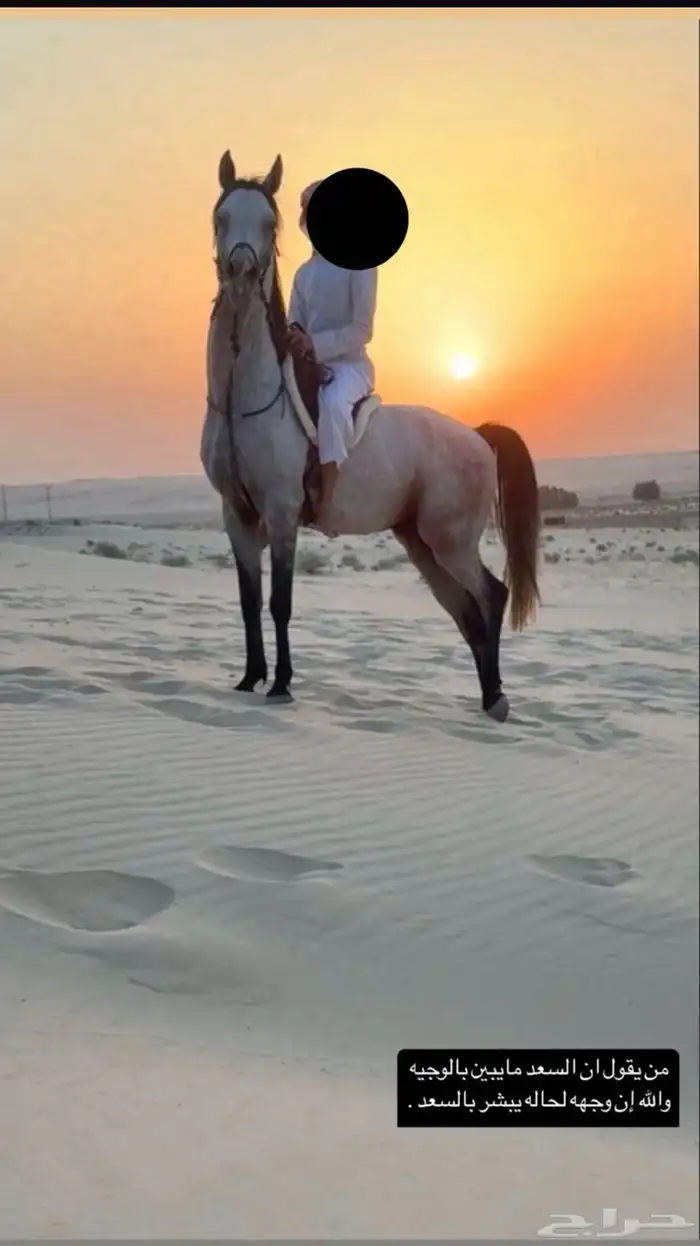 للبيع شعبي 0