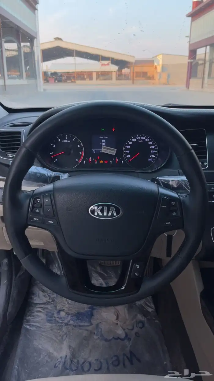 كادينزا 2015 8