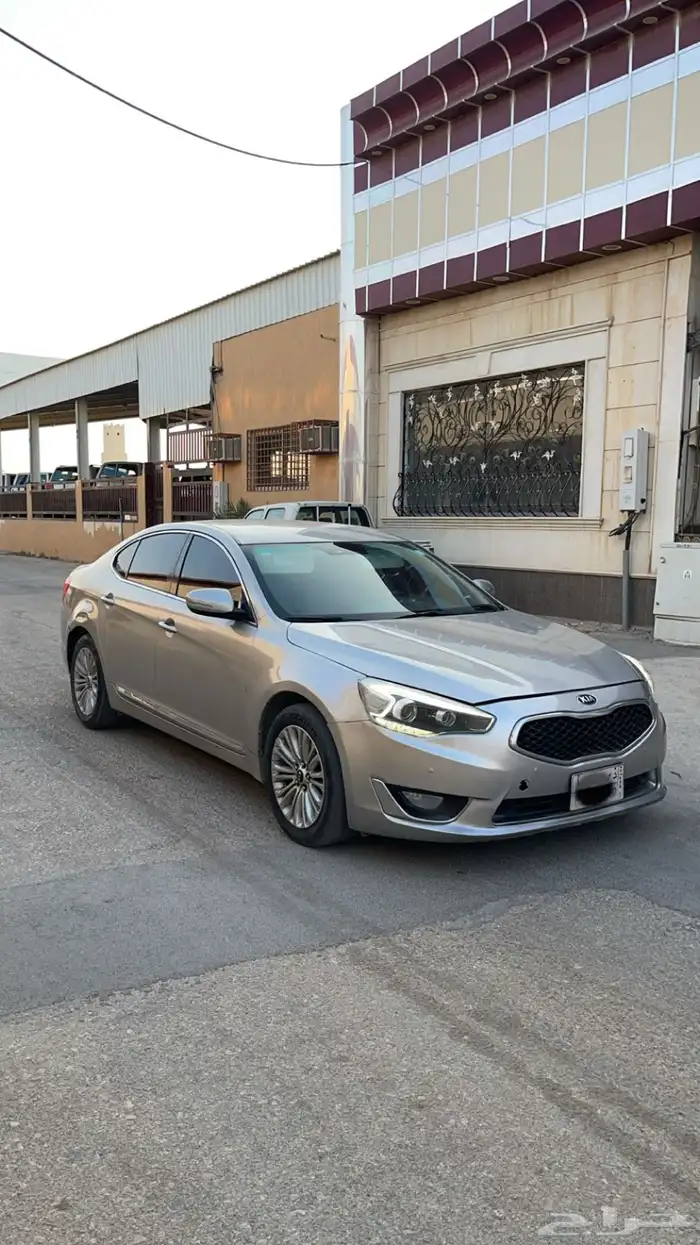 كادينزا 2015 2