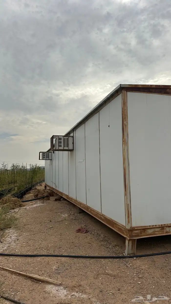 بركس للبيع طوله 15 2