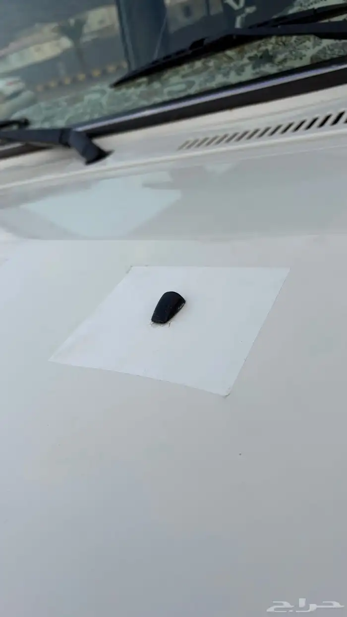 جيب ربع 2005 وكاله 13