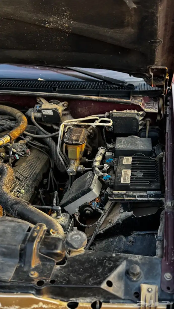 جمس سوبربان 1999 14