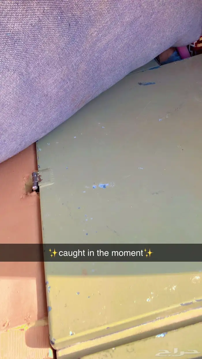 شد ( طربال ) شاص 10