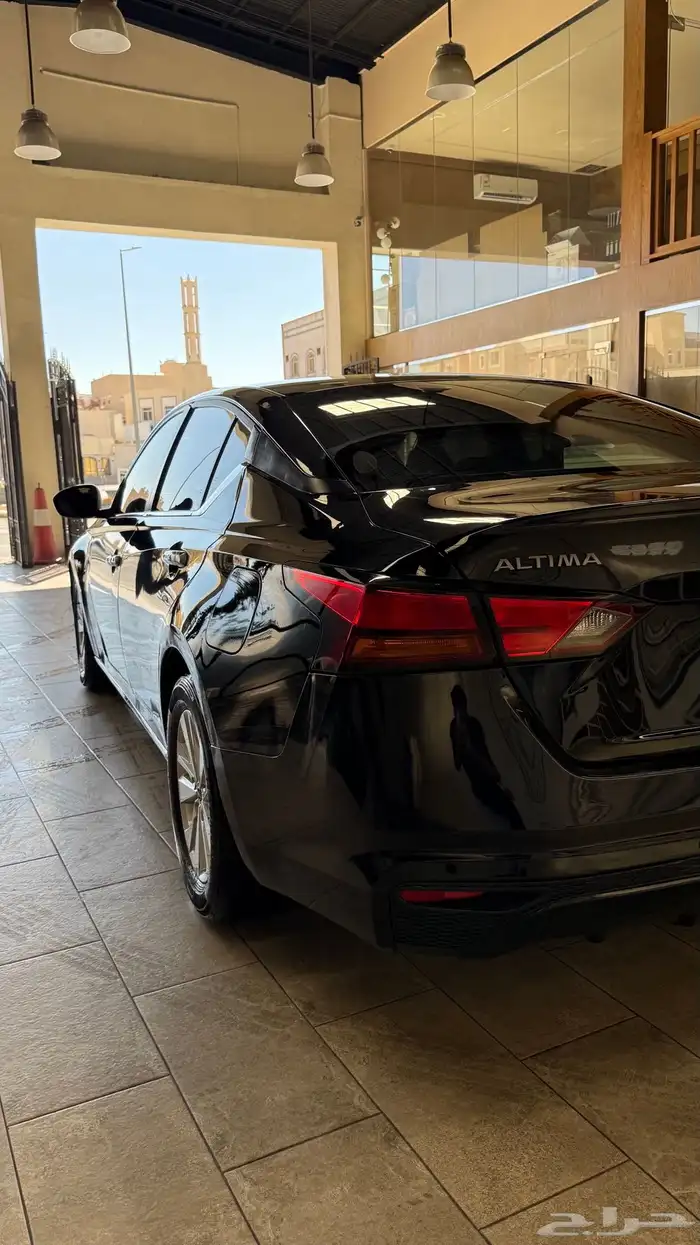 التيما 2023 15