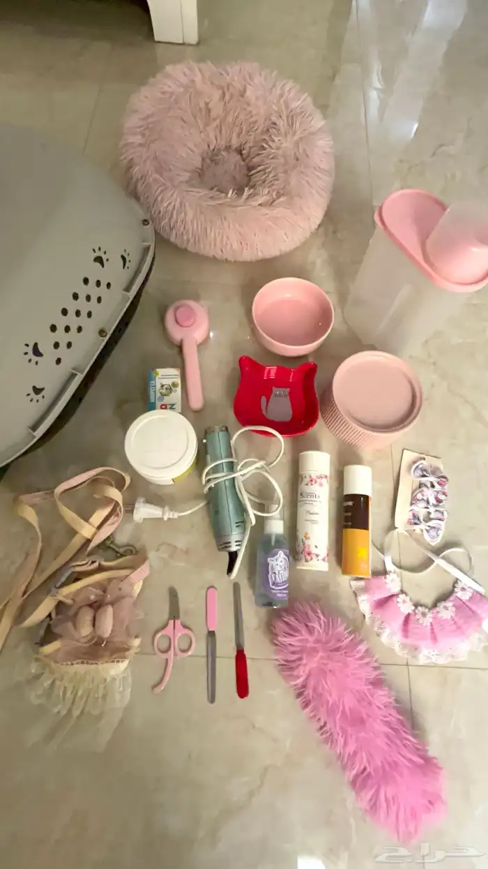 قطه للتبني 3