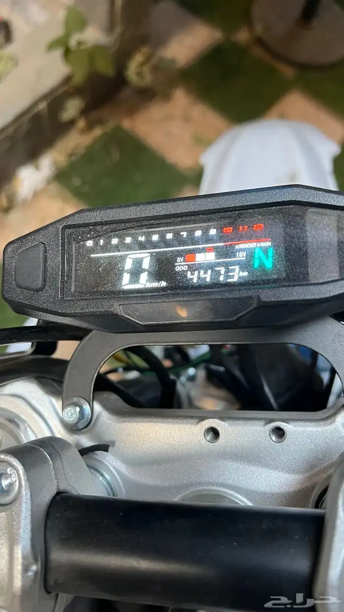 صحراوي مهدي 6