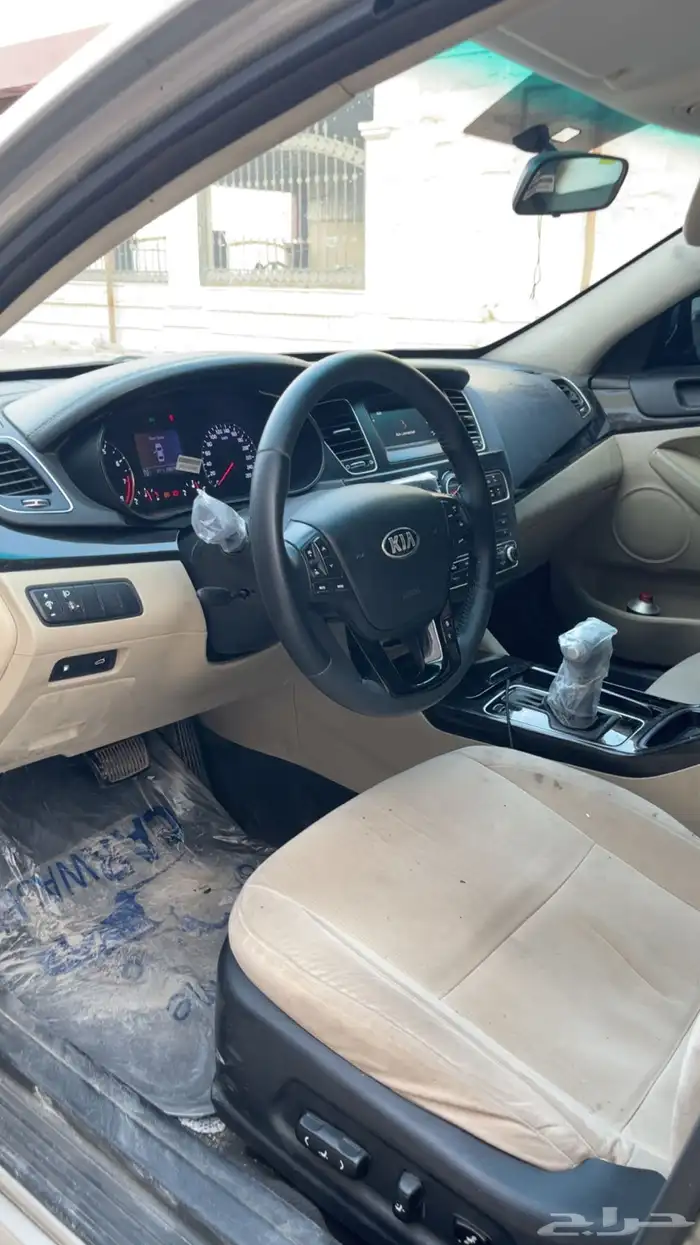 كادينزا 2015 7