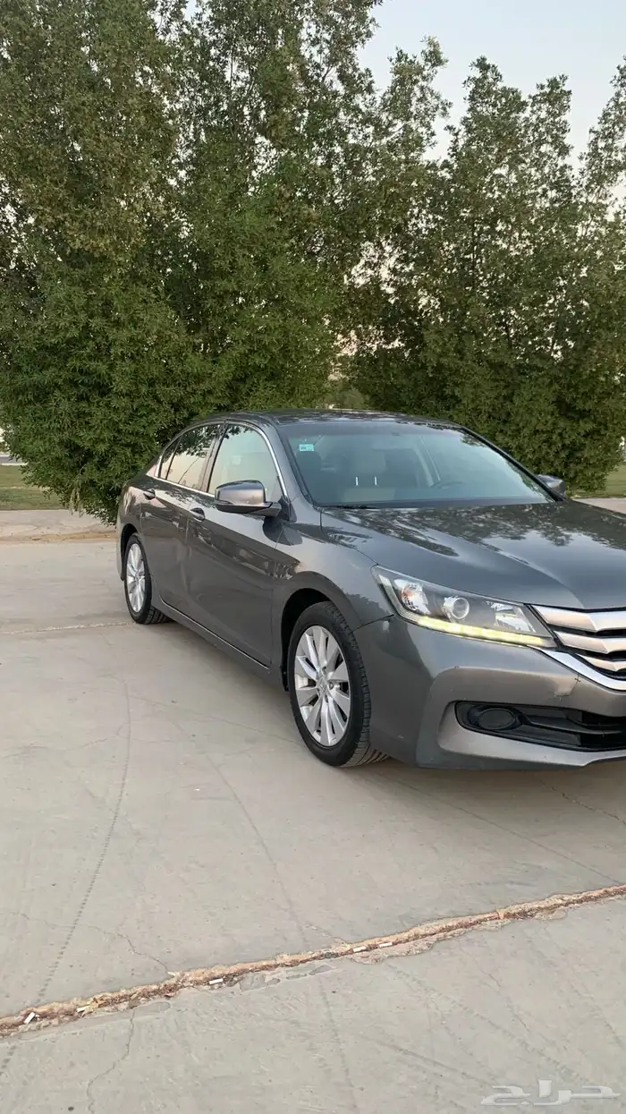 اكورد للبيع مديل 2016 13