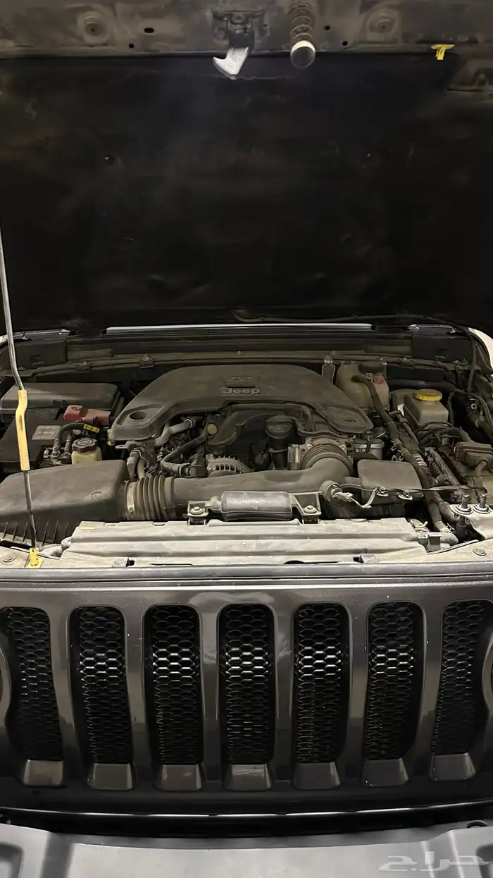 رانجلر صحارى اول مالك 7