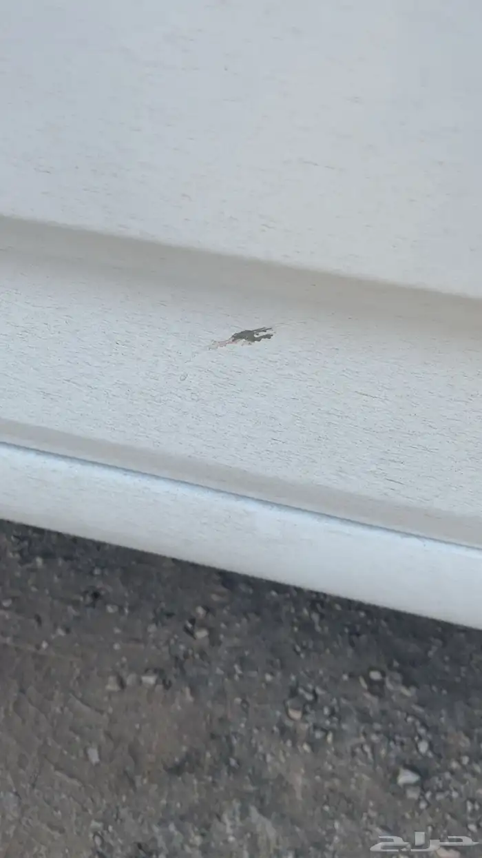 اكسنت موديل 2017 6