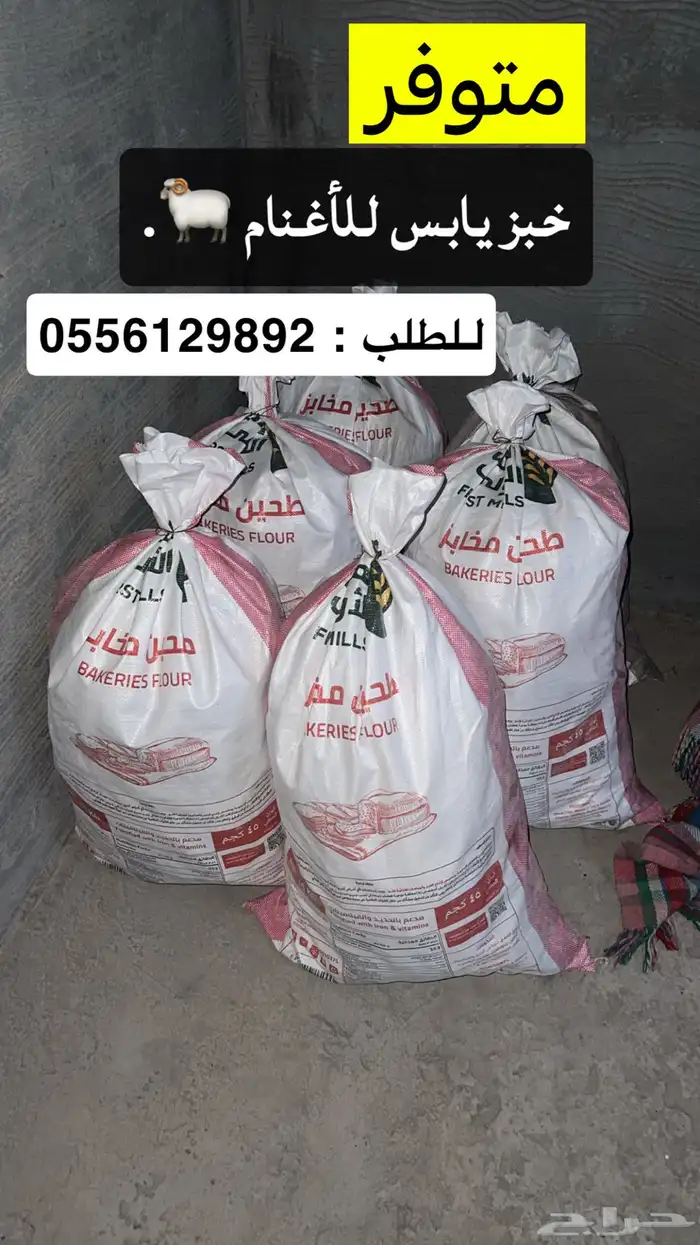 علف غنم و أبقار 0