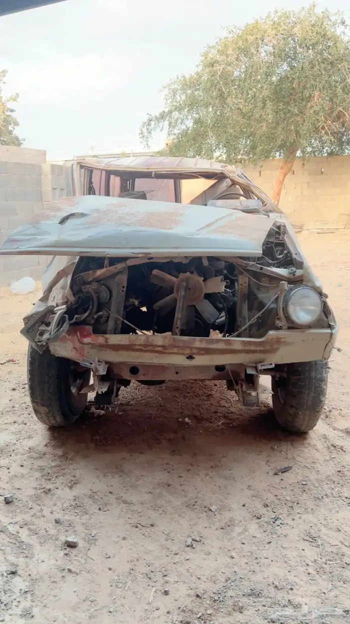 جيب صلون البيع مديل 84 2