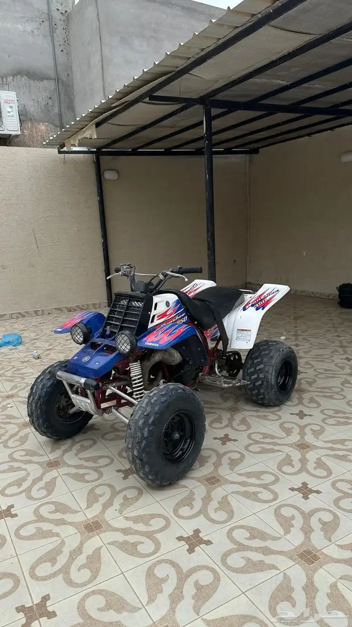 دباب بانشي 1