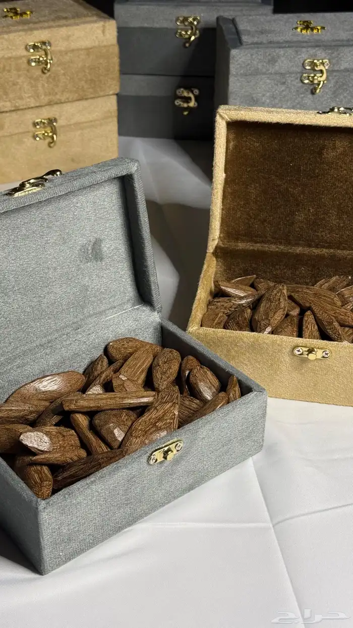 عود مروكي دبل سوبر 0