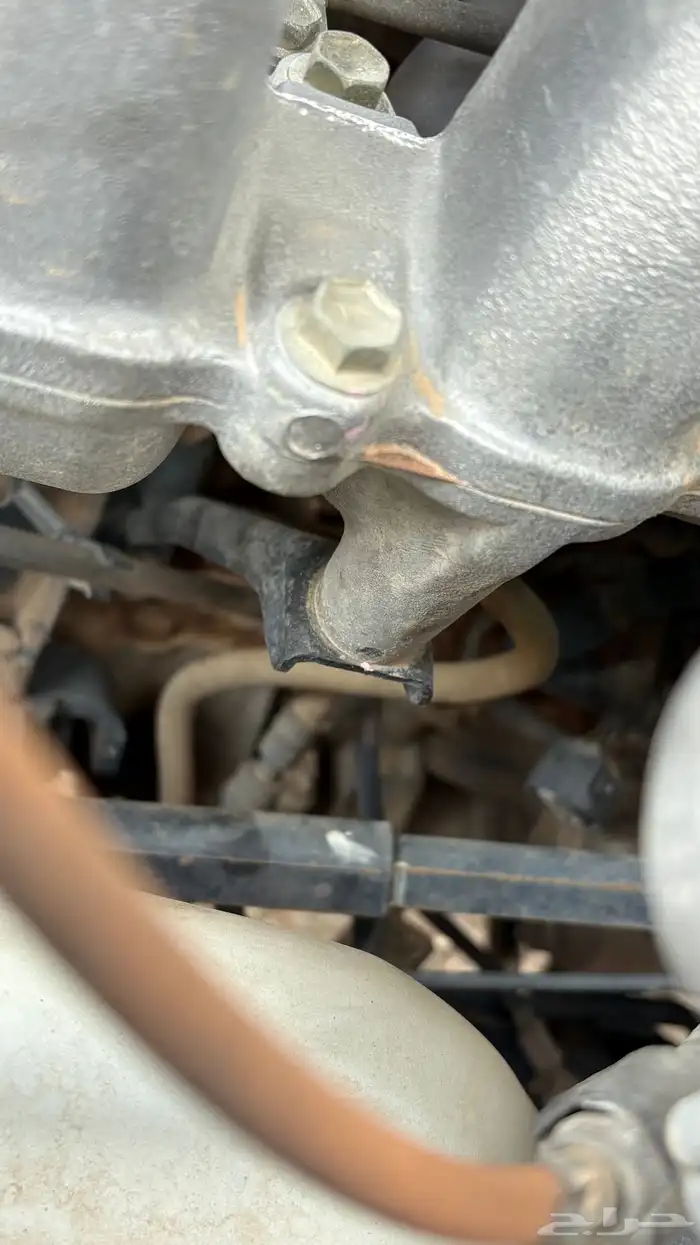 جيب ربع 2005 وكاله 19