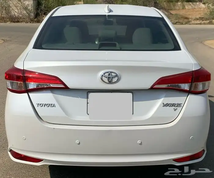 يارس 2021 بلد القنفذه 5