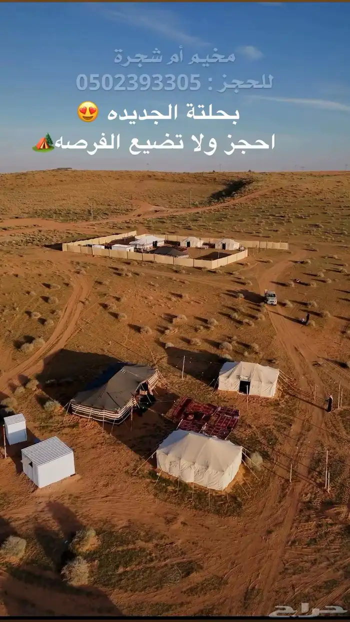 مخيم ام شجرة   بنفود الزلفي المستوي للايجار اليومي 12