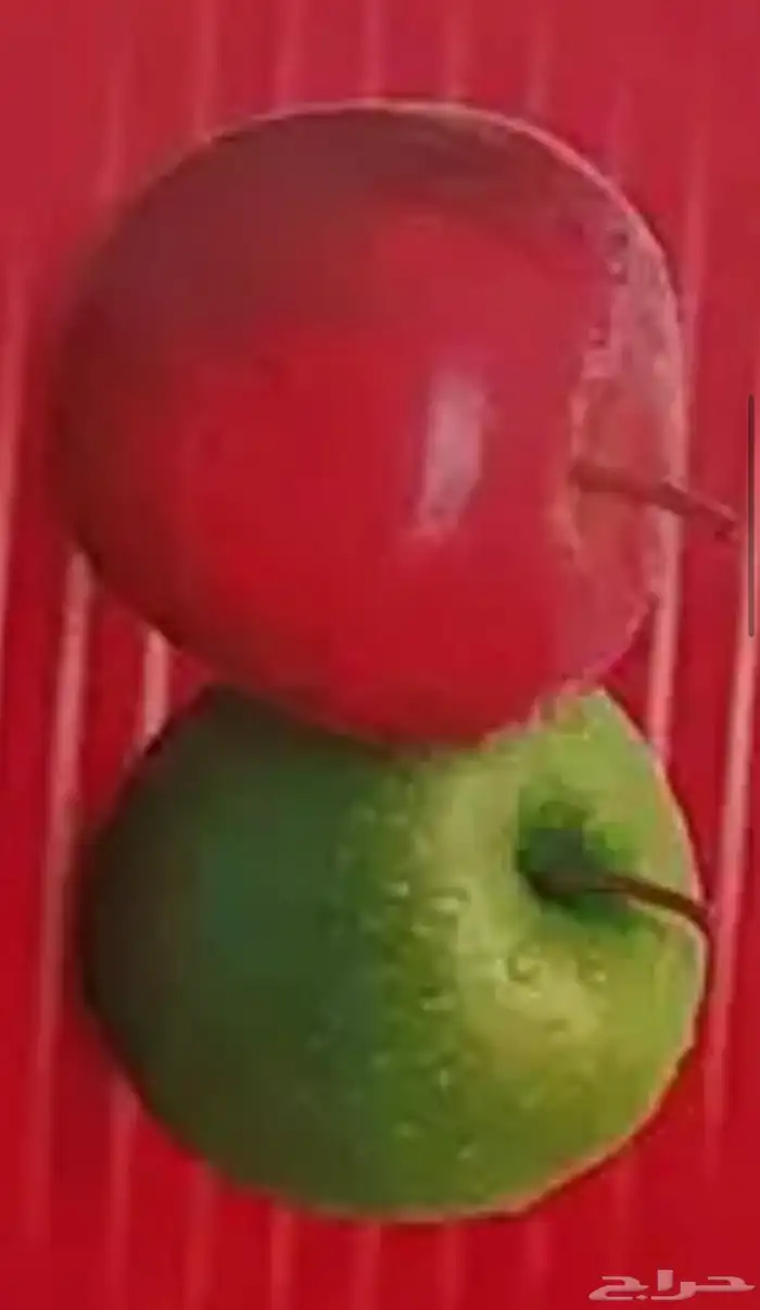 عسل تفاح النخلة 0