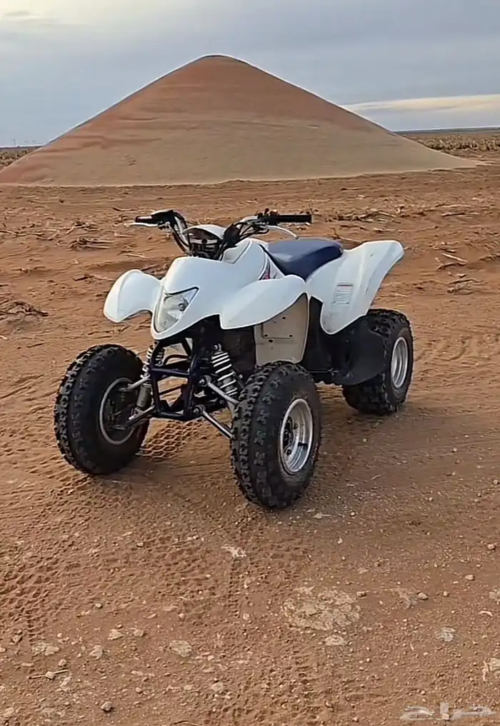 مطلوب دباب سزوكي زد 250 0