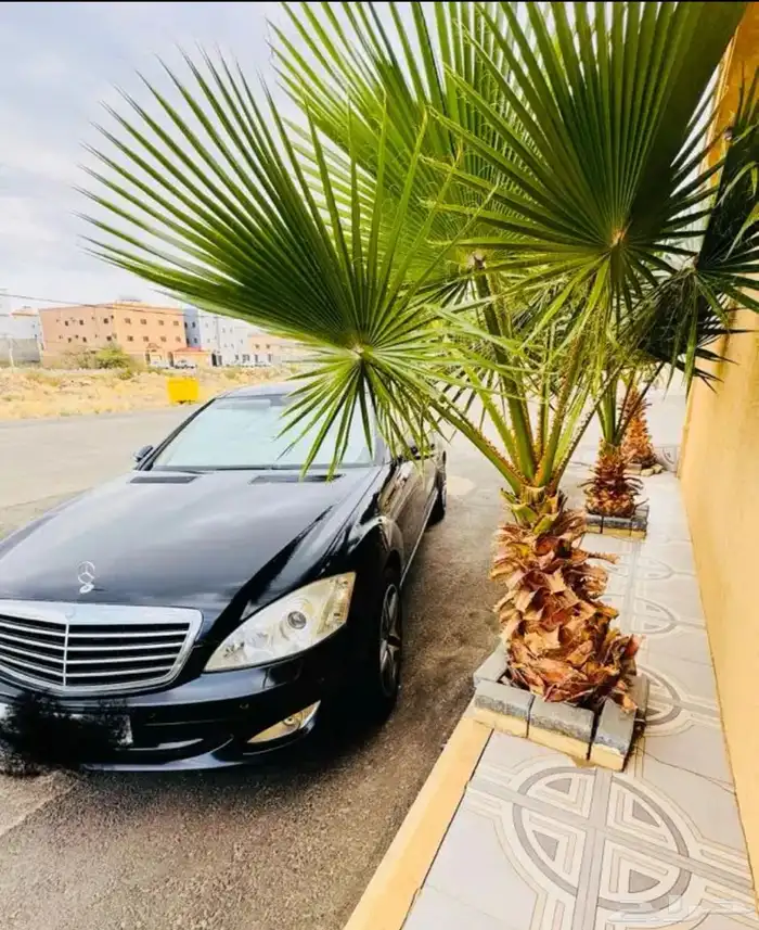 مرسيدس S350جفالي موديل2009 13