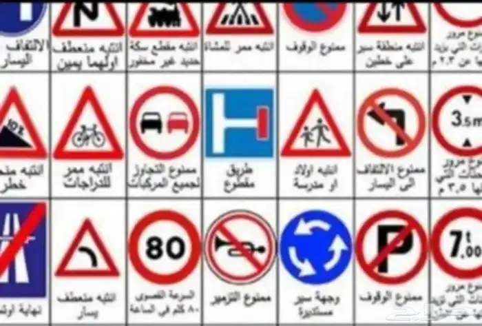 مدرب قيادة محترف 0