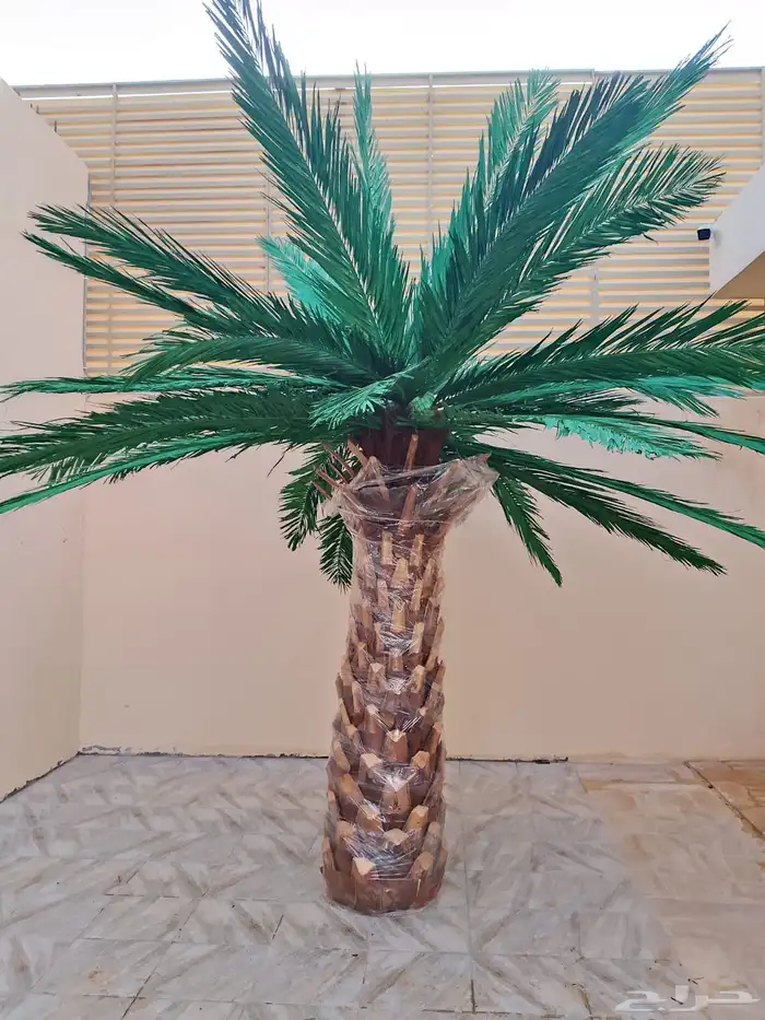 نخل صناعي بارتفاعات مختلفه ذو جوده عاليه 0