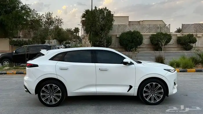 شانجان يوني كي 2023 7