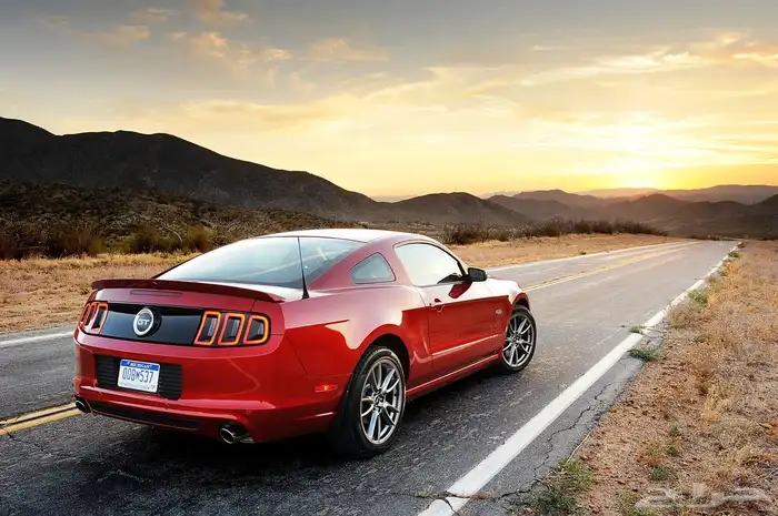 مطلوب موستنق للبيع 0