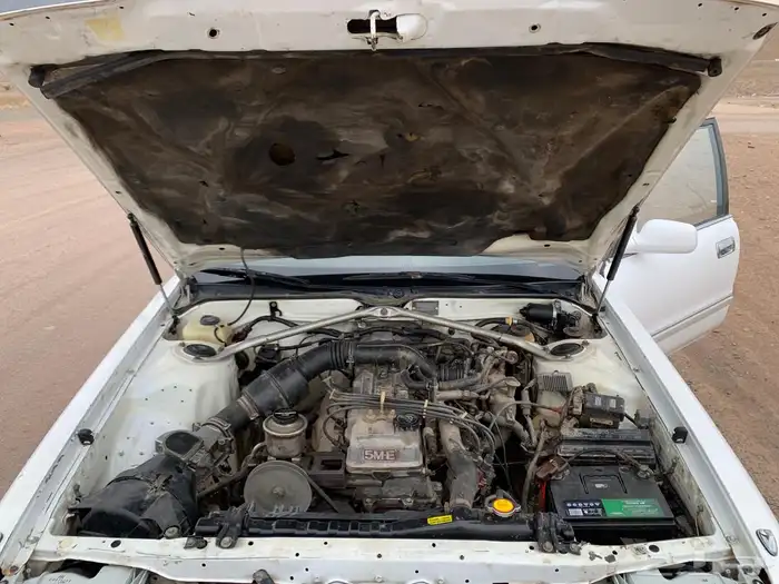 للبيع كرسيدا قراندي بودي بلد 7