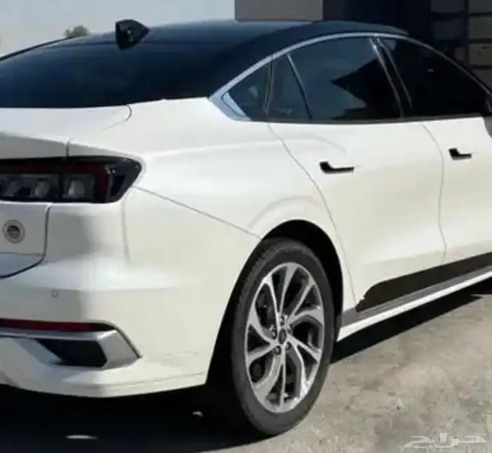 تورس تيتانيوم 2023 - 2024 0