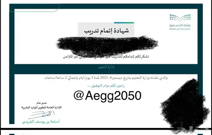 حضور دورات دروب ومنصة futurex 0