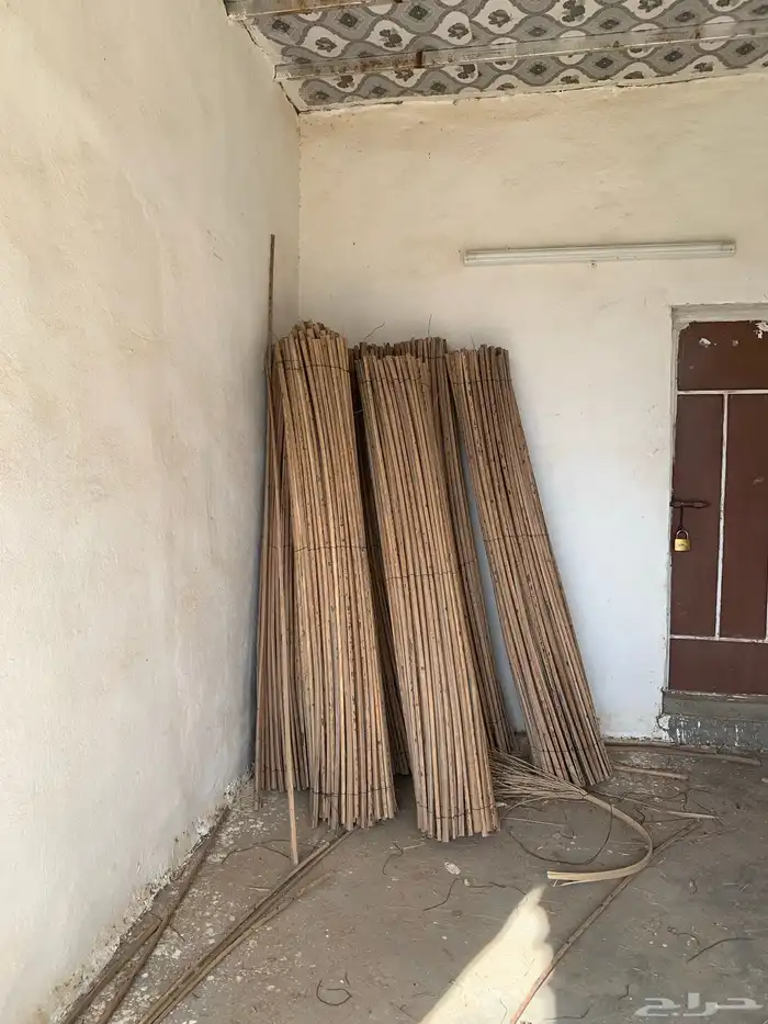 جريد نخل مجرود للبيع 0