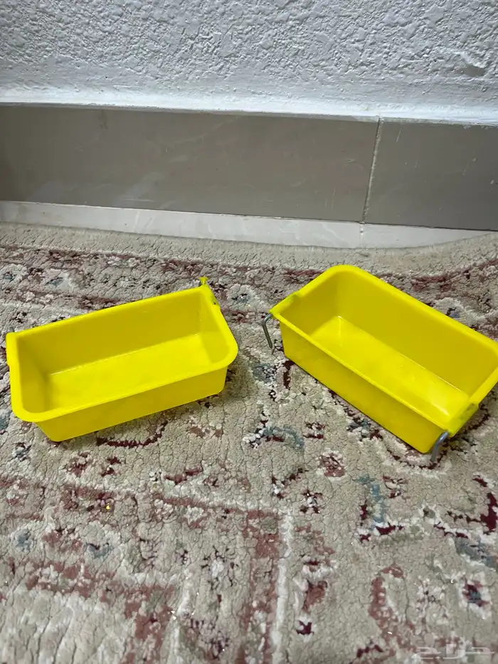 بط اصفر كتكوت زوجين 3