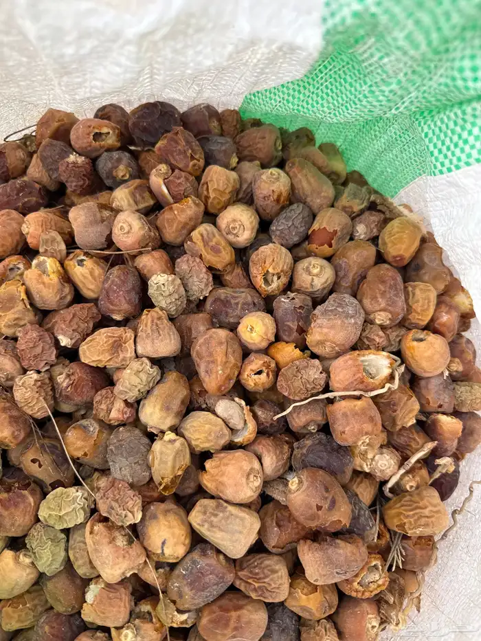 للبيع تمر علف 4