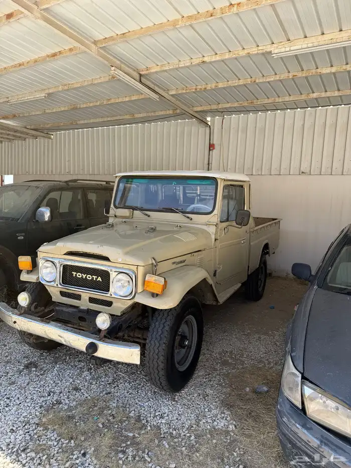 شاص 82 نظيف 0