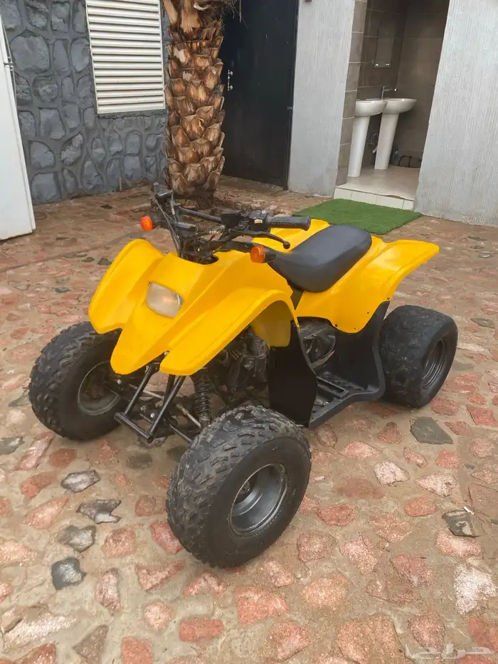 دباب سويدي مقاس 100 3