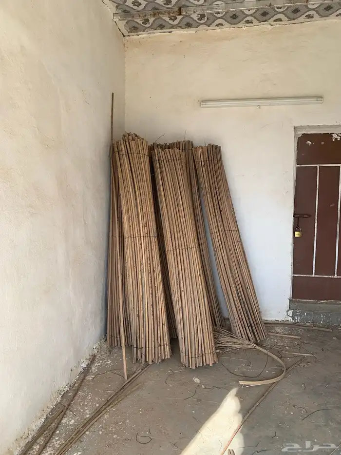 جريد نخل مجرود للبيع 1