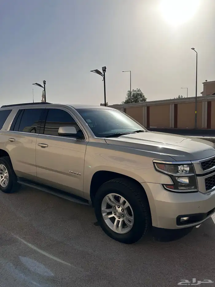 تاهو قصير ( دبل ) 2015 4