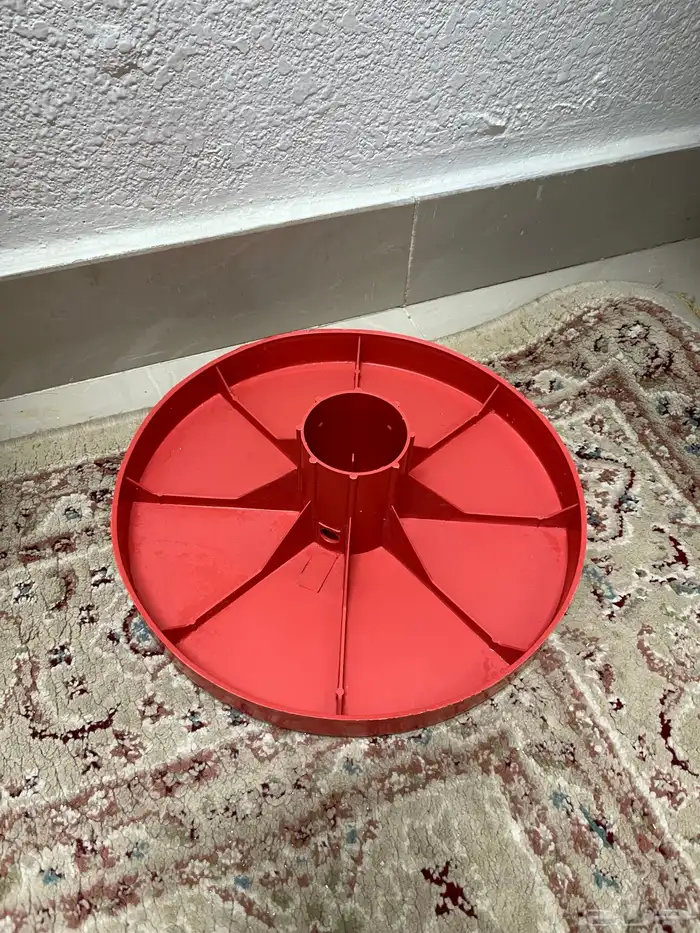 بط اصفر كتكوت زوجين 5