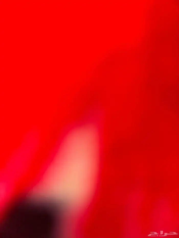 الي بعتوا يخبر حوش كبير 0