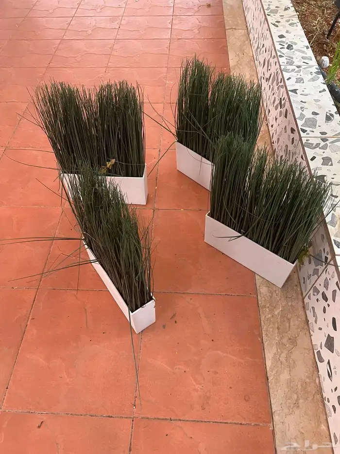 نبات صناعي 2